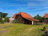 Schuppen hinten - 