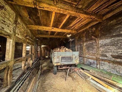 Schuppen innen - 