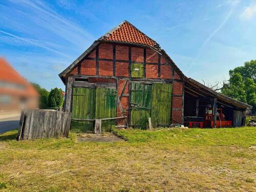 Schuppen - 