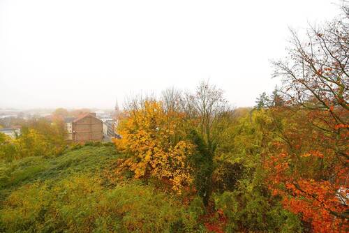 Aussicht auf das Nachbargrundstück.JPG - 