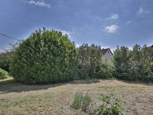 Bild 1 - Seltene Gelegenheit: Grundstück für eine Doppelhaushälfte in ruhiger Wohnlage