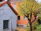 Hinteransicht / Gartenhaus - 