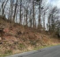 Bauplatz in Unterebersbach, OT - 42.000,00&nbsp;EUR Kaufpreis, ca.&nbsp; 0,00&nbsp;m&sup2; in Niederlauer (PLZ: 97618) Unterebersbach