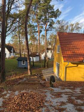 Blick vom Hochsitz.jpg - 