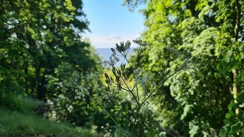 Impression Umgebung - 