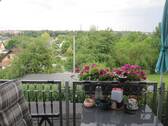 IMG_7518.JPG - 