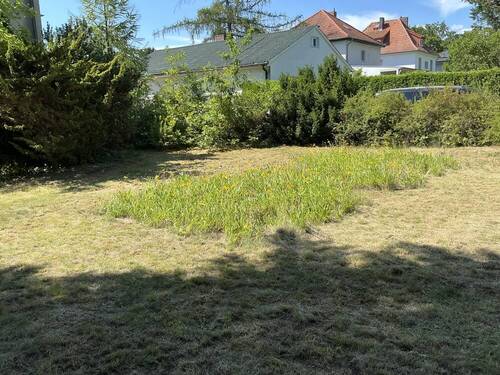 Garten - 6 Zimmer Einfamilienhaus in Berlin