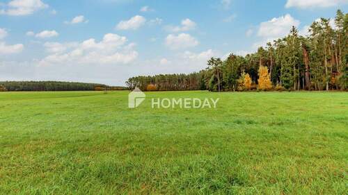 Grundstück 1 2 - 8,79 ha: Großflächiges Areal für Landwirtschaft, Forst und Neugestaltung