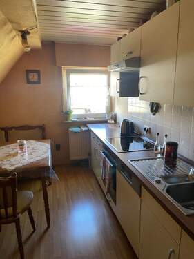 PHOTO-2025-04-11-10-32-59_5.jpg - 