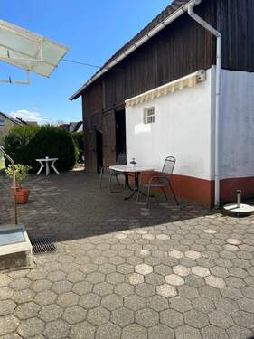 PHOTO-2025-04-11-10-47-22_7.jpg - 