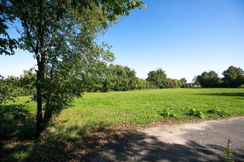 Feldrand hinter dem Grundstück - 