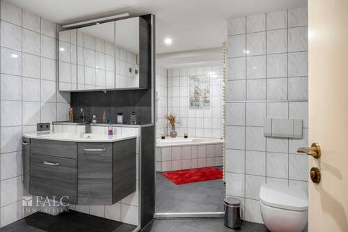 ProfessorMendelStr23-08_web - 