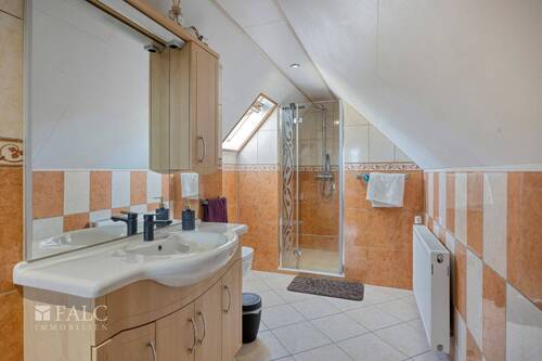 ProfessorMendelStr23-29_web - 