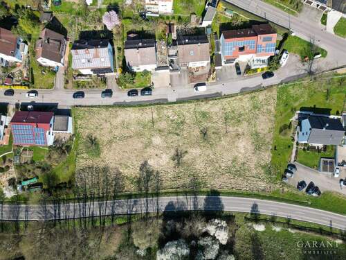 dji fly 20250405 104714 752 1743843077821 photo - 