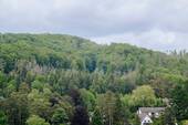Umgebung - 