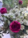 Impressionen - 