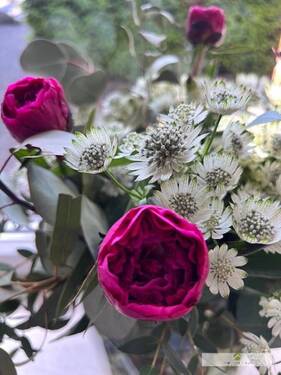 Impressionen - 