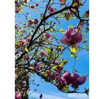 Gepflegter Wohnkomfort einer EG-Wohnung in ruhiger Nachbarschaft von Werl-Büderich