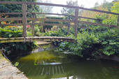 Bild5 - 