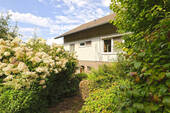 Bild6 - 