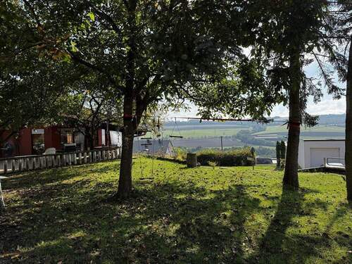 Gemeinschaftsgarten - 