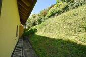 Hinter dem Haus - 