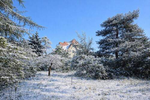 Grundstücksansicht Winter - Grundstück zum Kaufen in Berlin