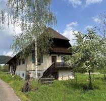 Interessante Gewerbliche Baufläche 9.200 qm (bebaubar) - Schuttertal