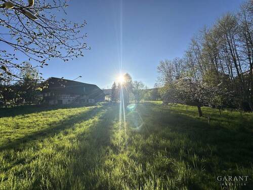 Wiesengrundstück - 