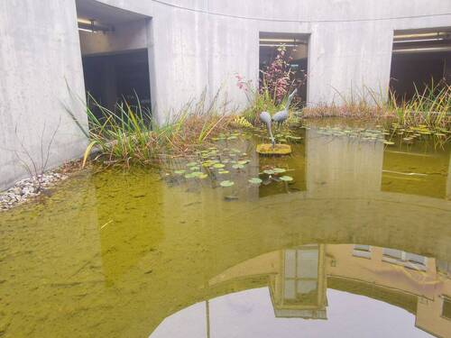 Belüftungsschacht TG mit Teich - 