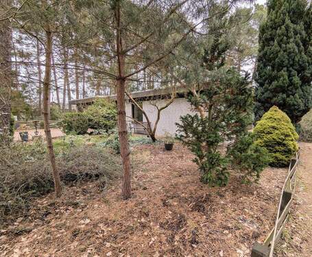 Seitenansicht - Bungalow mit 156,00 m&sup2; in Gifhorn zum Kaufen