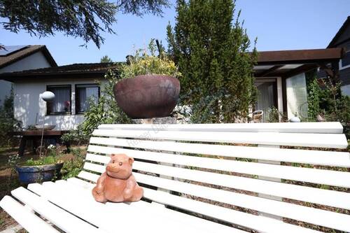 GESELLSCHAFT GESUCHT... - 