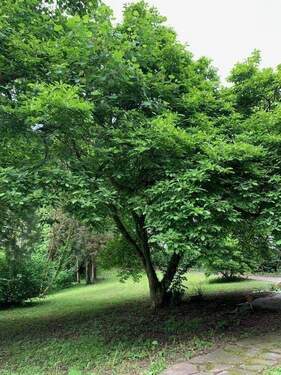 Ihr persönlicher Park - 