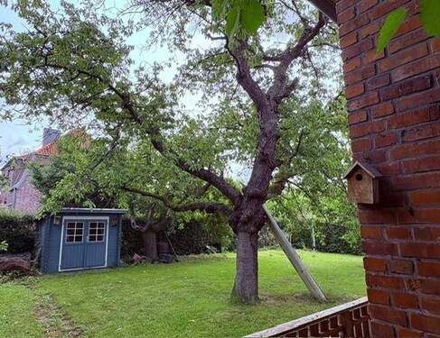 Garten, rechts d. Kellerabgang - 