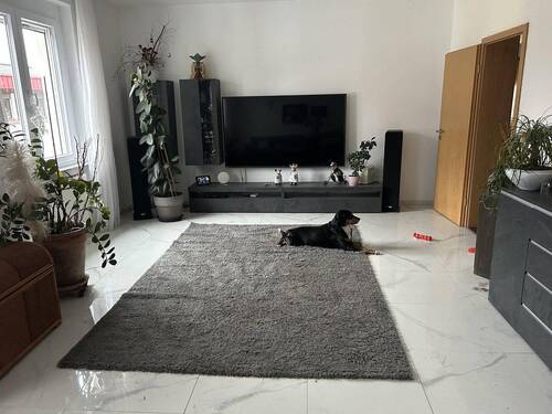 Bild 1 - Vermietung 5 ZKBB in 68782 Brühl