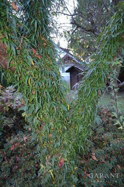 Garten - Einfamilienhaus mit 168,00 m&sup2; in Backnang zum Kaufen