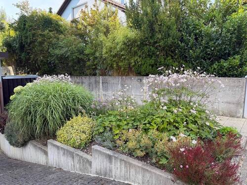 Außenbereich Ansicht 1 - 