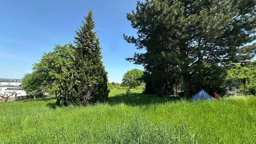 550 Garten - 1 Zimmer Etagenwohnung zum Kaufen in Neuhausen auf den Fildern