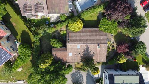 Vogelperspektive - 