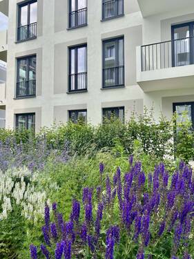 IMG_6390 - 2 Zimmer Etagenwohnung in Berlin