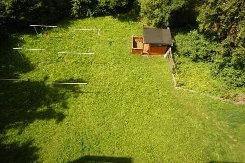 Hinterhof - 