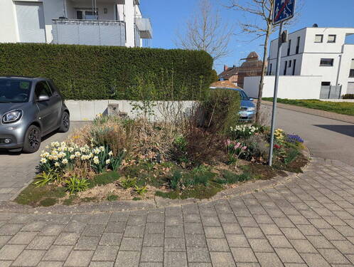 Tieferliegendes Gartenstück - 