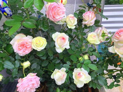 Bild 22 - 