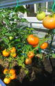 Bild 23 - 