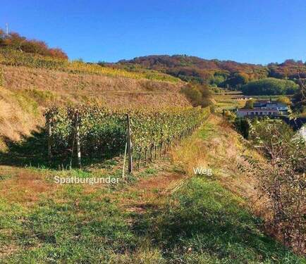 Bildschirmfoto 2025-09-03 um 09.01.49.jpg - 