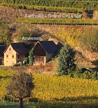 Bildschirmfoto 2025-09-03 um 09.00.39.jpg - 