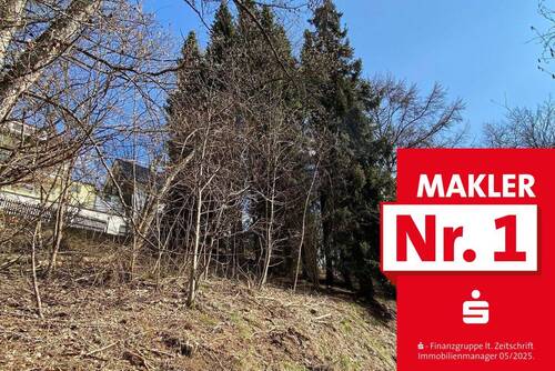 Ansicht des Grundstücks mit Zuwegung - 651 m² großes Grundstück in Bad Berleburg - Aue