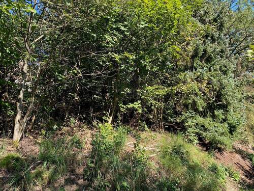 Grundstücksansicht - 