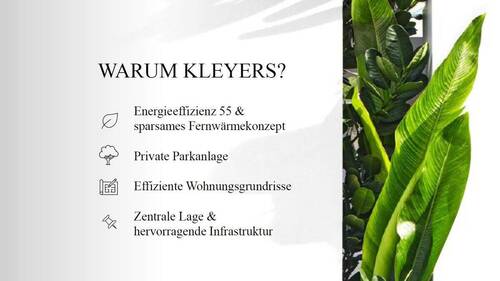 WARUM KLEYERS - 