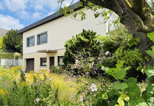 Vorgarten mit Zugang zum Untergeschoss - Ihr neues Zuhause in bester Wohnlage von Biebrich